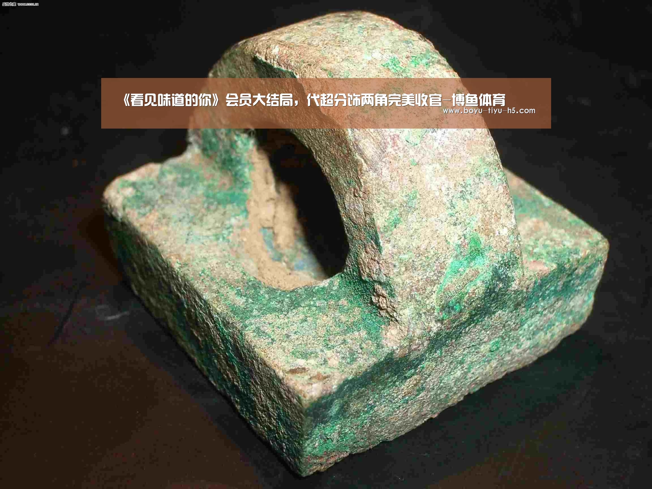  博鱼体育官网