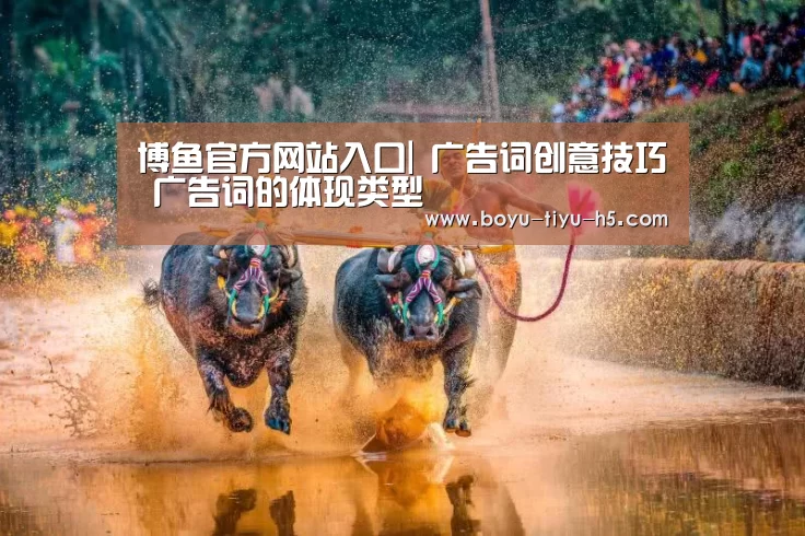  博鱼官方网站入口