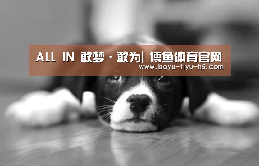  博鱼体育官网