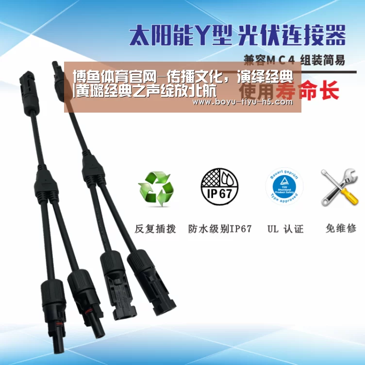  博鱼体育官网