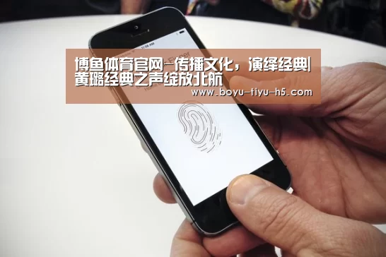 博鱼体育