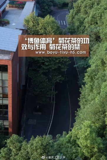  博鱼体育平台