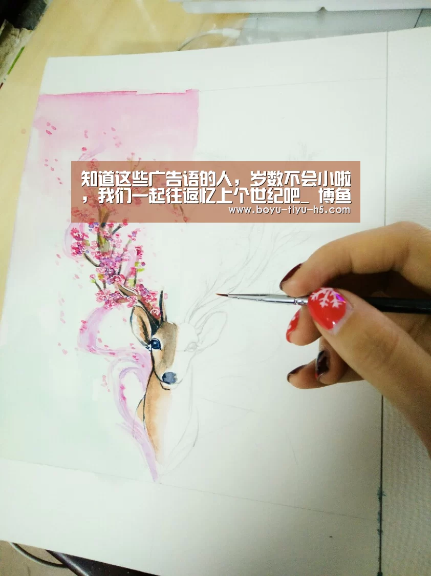  博鱼体育官网