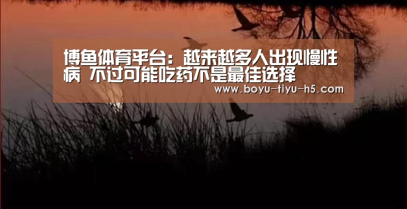  博鱼官方网站入口