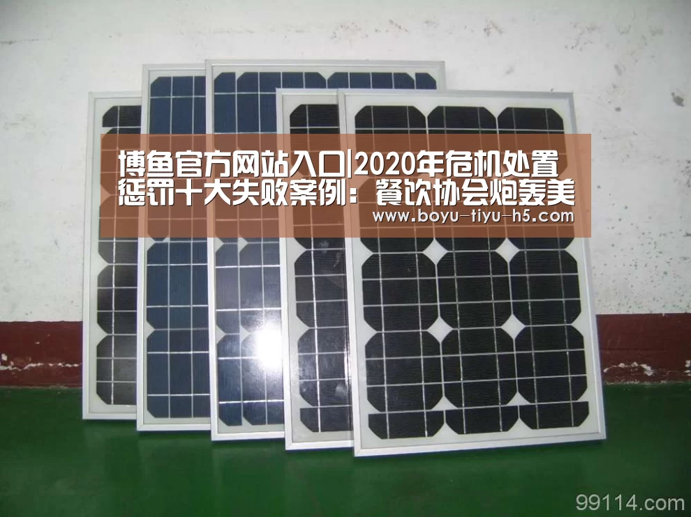  博鱼体育官网